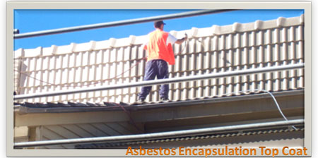 Constructional Coatings